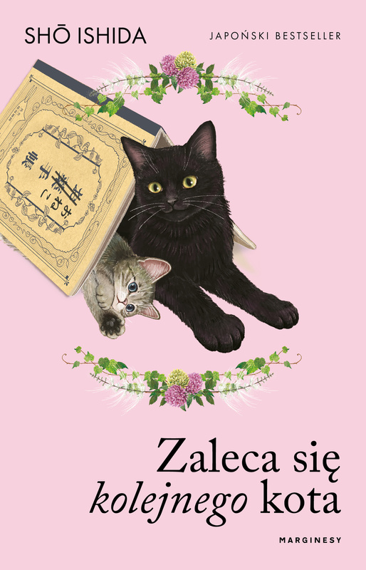 Zaleca się kolejnego kota, Shō Ishida
