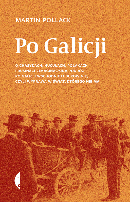Po Galicji, Martin Pollack