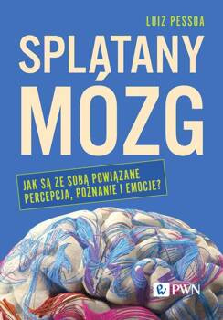 Splątany mózg, Pessoa Luiz