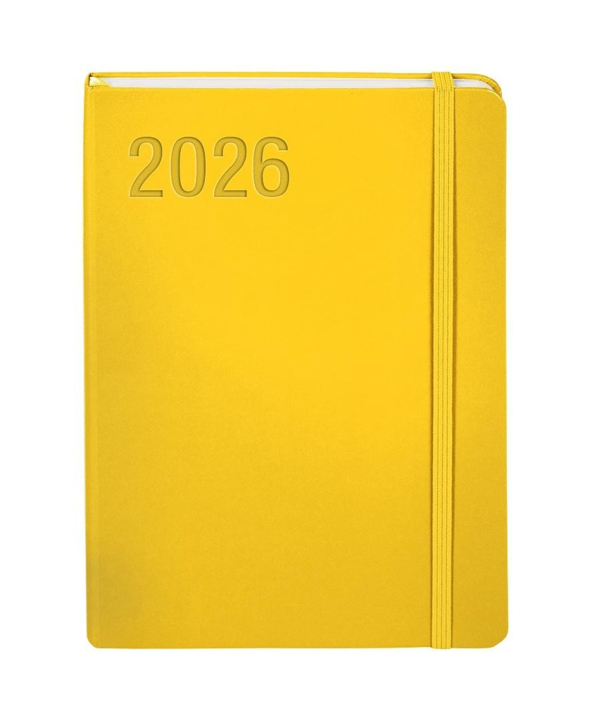 Kalendarz 2026 A5 Minimalizm złoty TNS