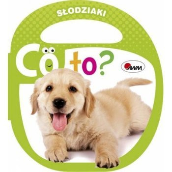 Co to? Słodziaki, Piotr Kozera