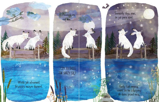 Co to jest ten śnieg?, Yuval Zommer