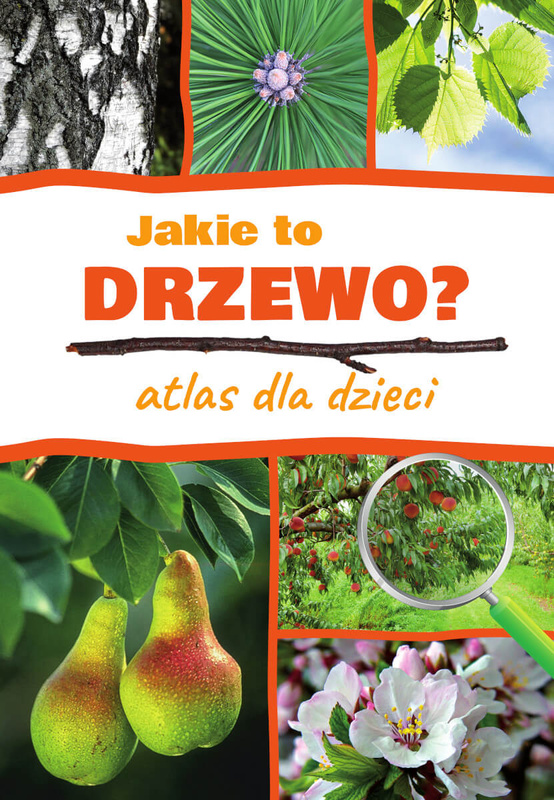 Jakie to drzewo? Atlas dla dzieci, Aleksandra Halarewicz