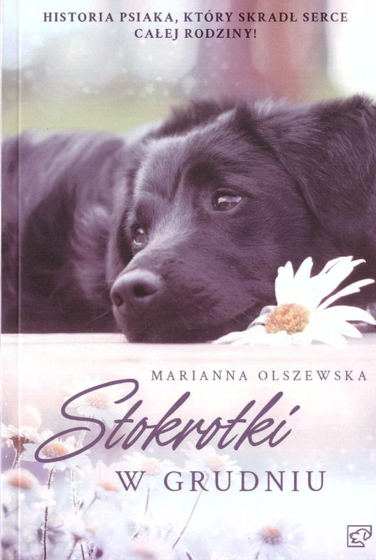 Stokrotki w grudniu, Marianna Olszewska