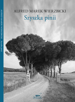 Szyszka pinii, Alfred Wierzbicki