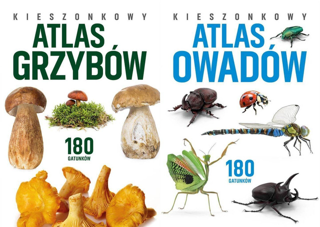 Kieszonkowy atlas grzybów + Kieszonkowy atlas owadów