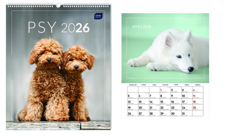 Kalendarz 2026 ścienny planszowy 33,5x40cm Psy