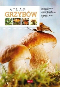 Atlas grzybów TW - Wiesław Kamiński