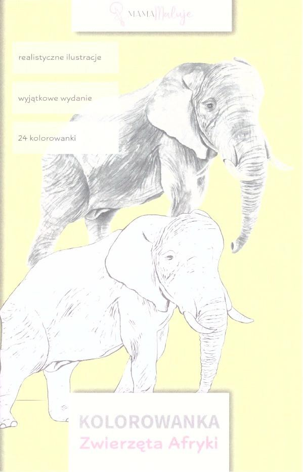 Kolorowanka. Zwierzęta Afryki, praca zbiorowa