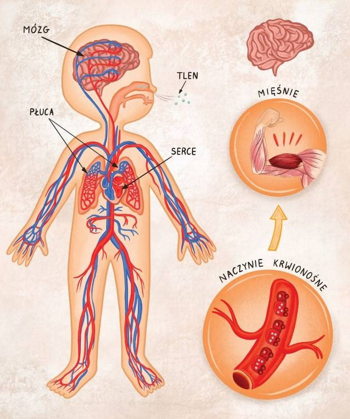Moja krew ma moc, Justyna Wodowska