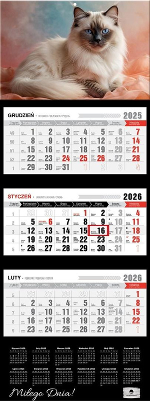 Kalendarz 2026 trójdzielny premium kot