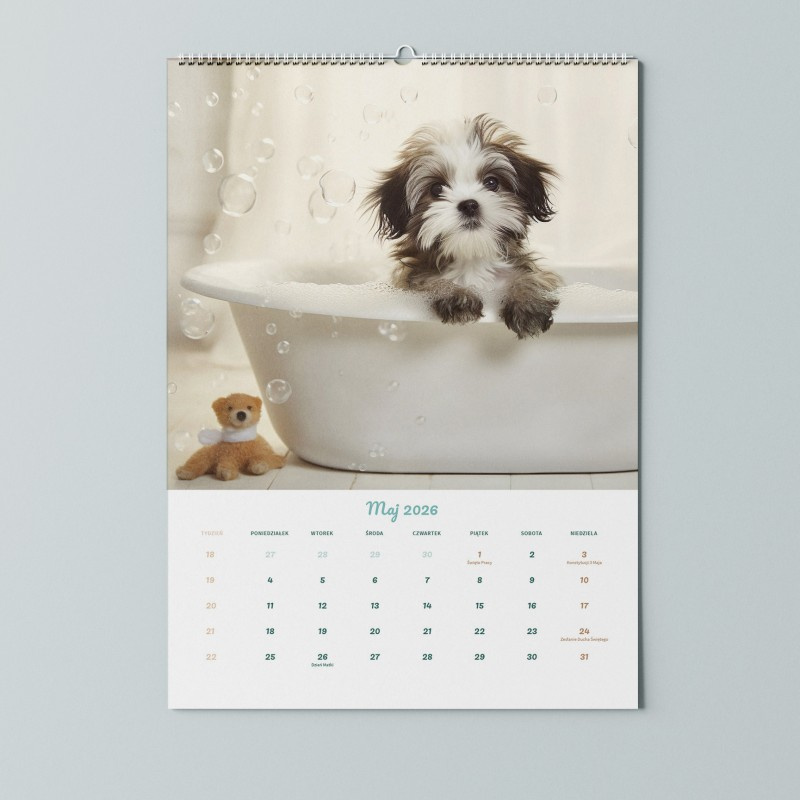 Kalendarz szczeniaki w kąpieli 2026