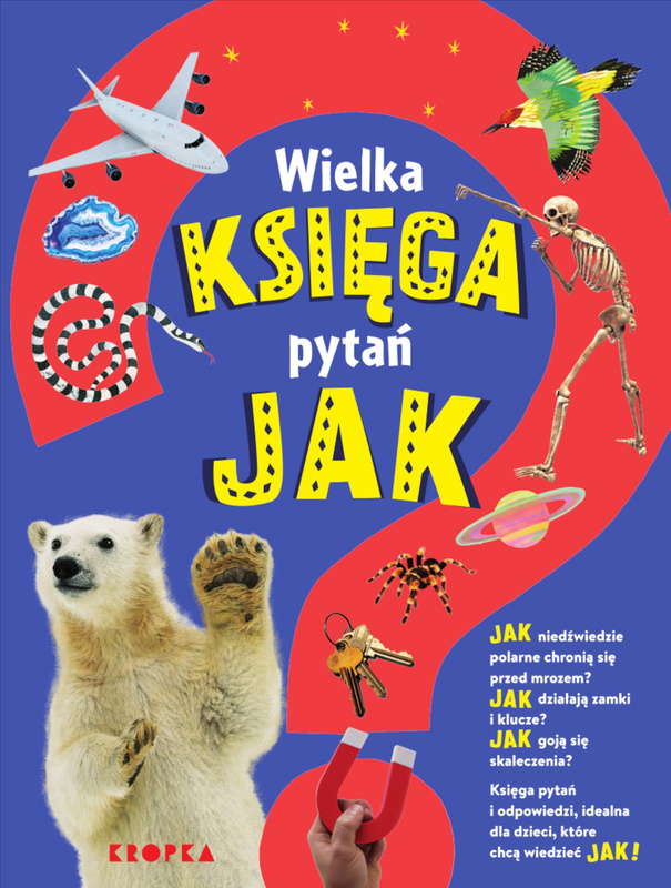 Wielka księga pytań jak, Sally Symes