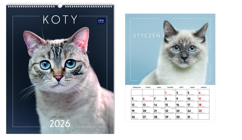 Kalendarz 2026 ścienny planszowy 33,5x40cm Koty
