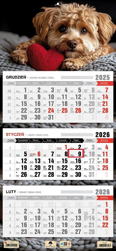 Kalendarz 2026 trójdzielny płaska główka piesek