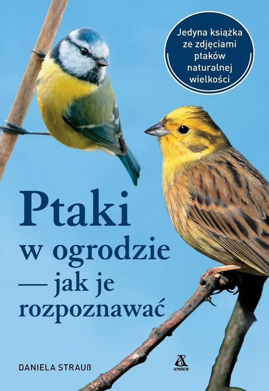 Ptaki w ogrodzie jak je rozpoznawać, Daniela Strauss