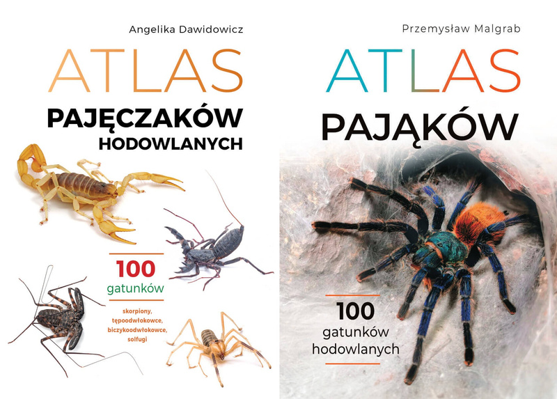 Atlas pajęczaków hodowlanych. 100 gatunków + Atlas pająków
