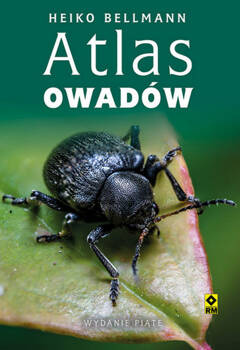 Atlas owadów w5, Bellmann Heiko