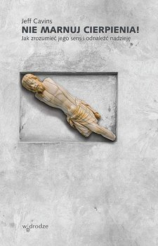 Nie marnuj cierpienia!, Jeff Cavins