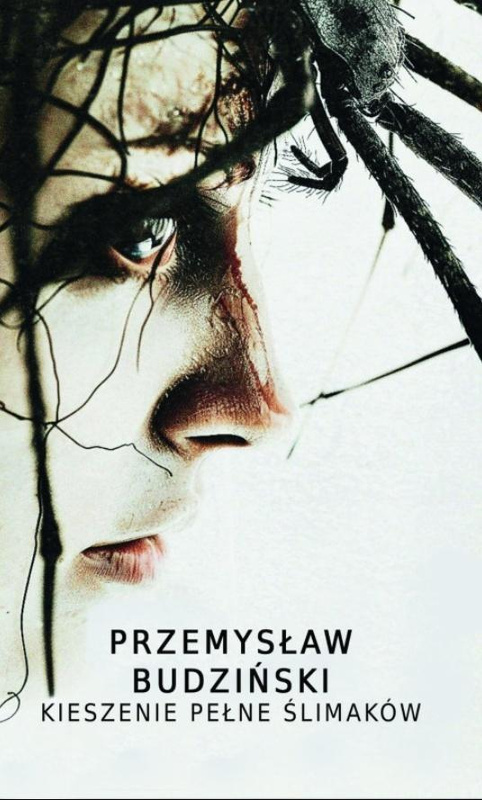 Kieszenie pełne ślimaków, Przemysław Budziński
