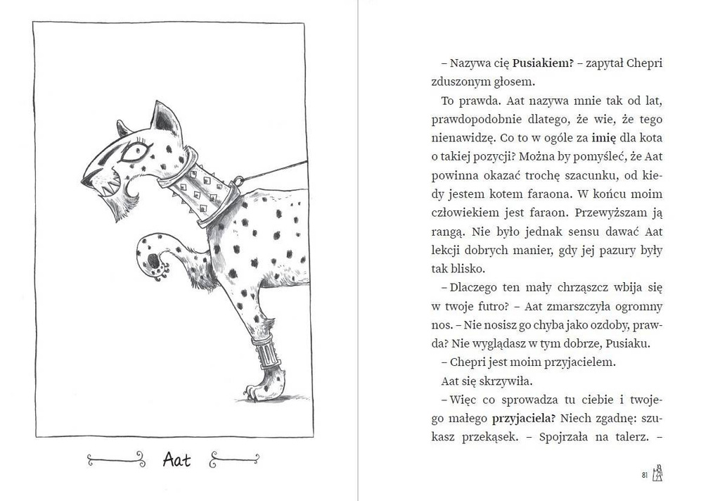 Ra Wszechmocny. Kot detektyw, tom 1, Amy Butler Greenfield