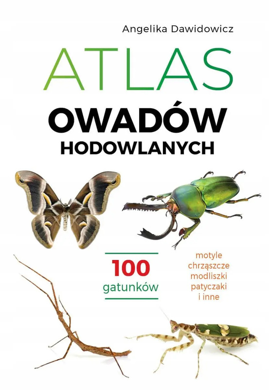 Atlas owadów hodowlanych, Angelika Dawidowicz