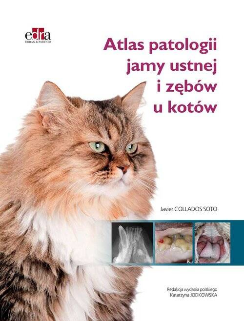 Atlas patologii jamy ustnej i zębów u kotów, Soto J.C.