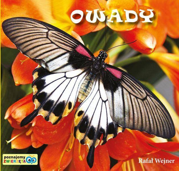 Poznajemy zwierzęta. Owady LIWONA - Rafał Wejner