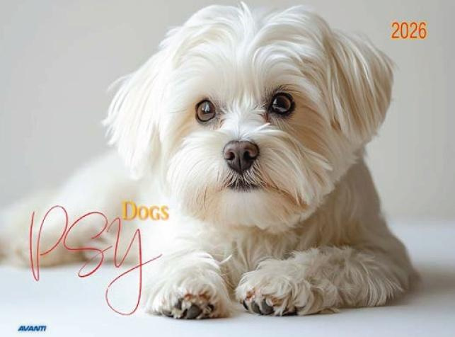 Kalendarz 2026 ścienny albumowy 28,5x20cm Psy