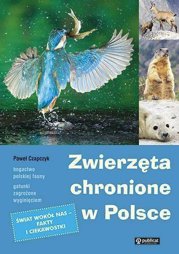 Zwierzęta chronione w Polsce - Paweł Czapczyk