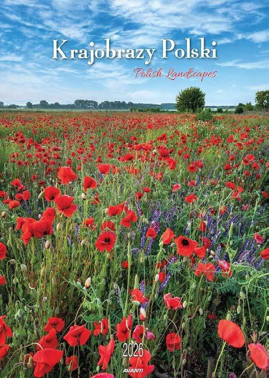 Kalendarz 2026 ścienny Krajobrazy Polski