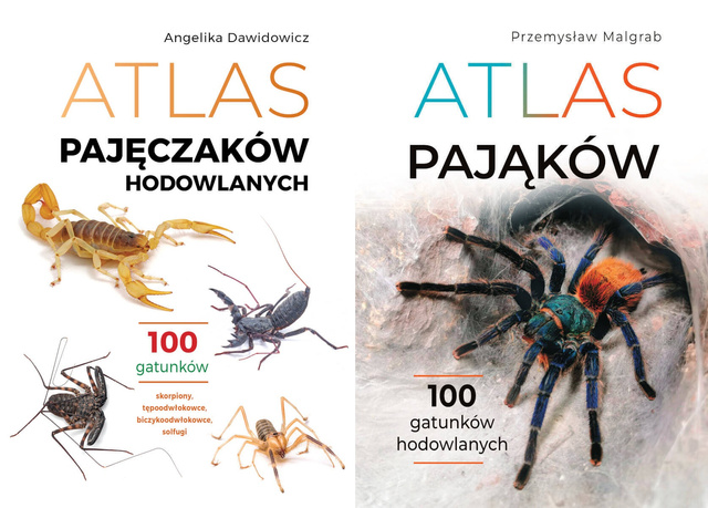 Atlas pajęczaków hodowlanych. 100 gatunków + Atlas pająków