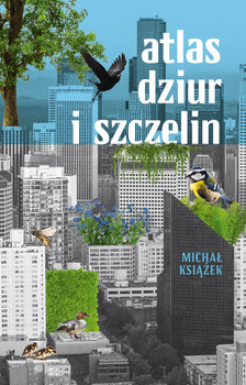 Atlas dziur i szczelin, Michał Książek