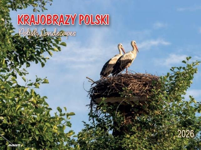 Kalendarz 2026 ścienny album. 28,5x20cm Krajobrazy