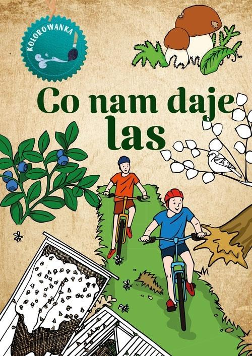 Kolorowanka. Co nam daje las, Katarzyna Kopiec Sekieta