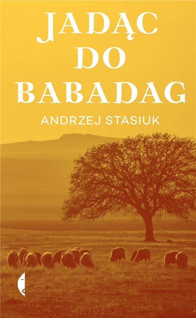 Jadąc do Babadag, Andrzej Stasiuk
