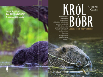Król bóbr + Pałace na wodzie