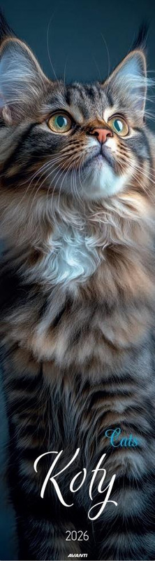 Kalendarz 2026 ścienny paskowy 13x46cm Koty