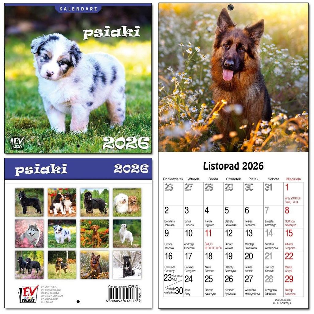 Kalendarz 2026 dla dzieci 16x32 13 plansz Psiaki