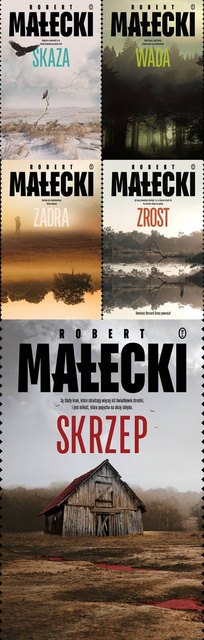 Cykl Bernard Gross. Tom 1-5, Robert Małecki