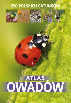 Atlas owadów, Kamila Twardowska