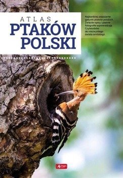 Atlas ptaków Polski TW - Anna Przybyłowicz, Łukasz Przybyłowicz