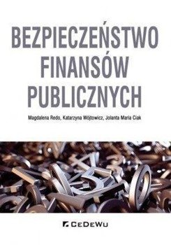 Bezpieczeństwo finansów publicznych - Magdalena Redo, Katarzyna Wójtowicz, Jolanta Mari