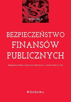 Bezpieczeństwo finansów publicznych w.2 - Magdalena Redo, Katarzyna Wójtowicz, Jolanta Mari