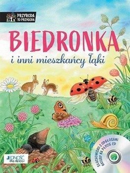 Biedronka i inni mieszkańcy łąki + CD - Reichenstetter Friederun