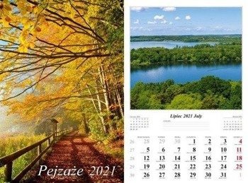 Kalendarz 2021 Pejzaże 13 planszowy RADWAN