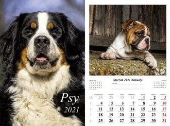 Kalendarz 2021 Psy 13 planszowy RADWAN
