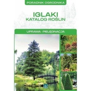 Natura. Iglaki - katalog roślin - Michał Mazik
