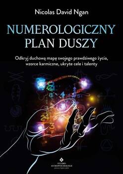 Numerologiczny plan duszy, Nicolas David Ngan