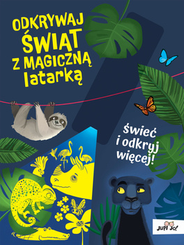 Odkrywaj świat z magiczną latarką, Magdalena Młodnicka